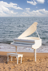 grand piano on the seacoast one
