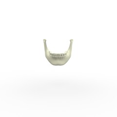 3d illustration of human body skeletal mandibula