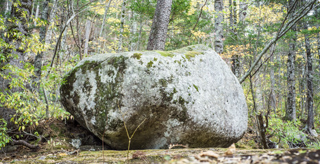 Huge boulder in the wild forest. Nature reserve. - 229155417