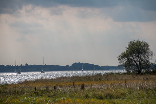 Schlei