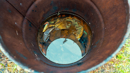 Dirty rainwater barrel.