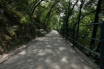 Naklejka premium Tappeinerweg