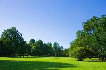 Fototapeta na wymiar park lawn , blue sky
