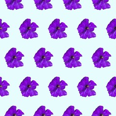 Decorative flower background. Seamless pattern.Petunia.