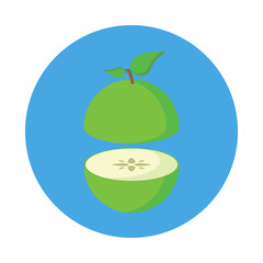 Sliced Apple flat icon isolated on blue background. Simple fruit in flat style, vector illustration.