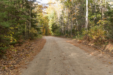 Fototapeta premium Autumn Maine Road