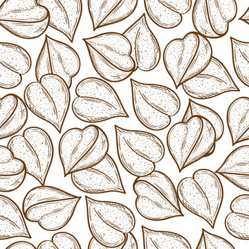 Buckwheat. Corn. Seed. Sketch. Background, wallpaper, seamless. Brown color.