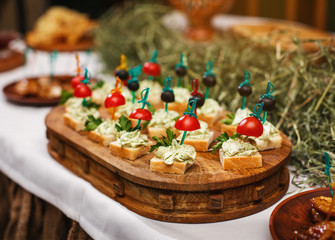 Delicious snacks for beer. Fresh canapes with tomatoes, olives, greens on white bread