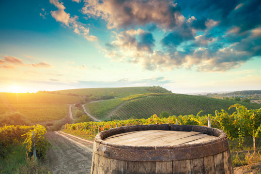 Red Wine With Barrel On Vineyard In Green Tuscany, Italy