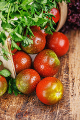 Composition with green-red tomatoes with salad and parsley
