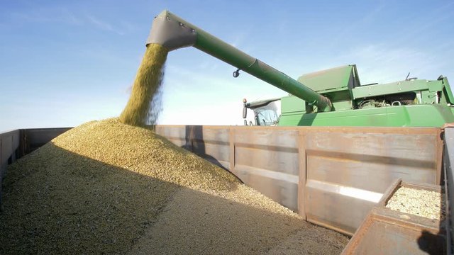 agribusiness, combine unloads soybeans in the truck during the autumn harvest in the field