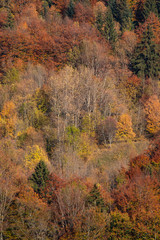 Couleurs d'automne dans les Bauges