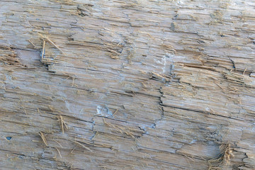 Naklejka premium wood texture background