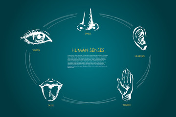 Human senses - vision, taste, touch, hearing, smell vector concept set