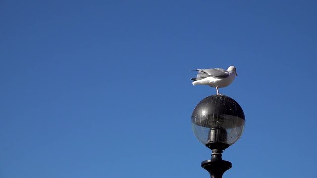 Liverpool, Albert Dock area. October 2018
