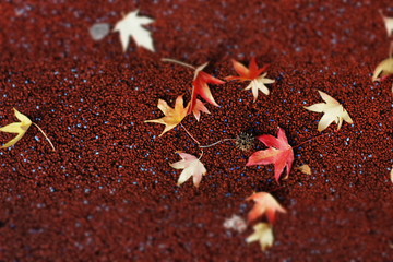 Otoño