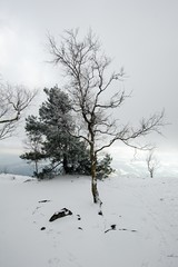 Fototapeta na wymiar Winter landscape covered with snow