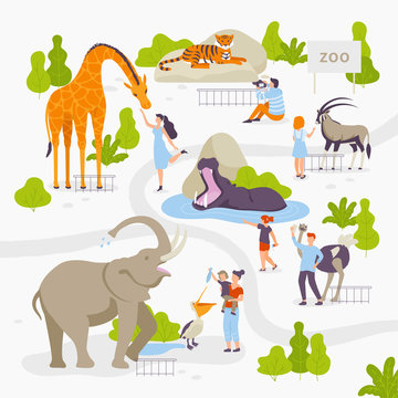 People love and look at wild animals in the zoo set of vector illustrations in flat design isolated on white background. Men, women, family, children at the zoo park having fun.