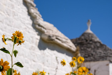 Flowers in foreground. In background, blurred view of traditional dry stone trulli houses on a street in the Aia Piccola residential area of Alberobello Puglia Italy.