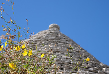 Flowers in foreground. In background, blurred view of traditional dry stone trulli houses on a...