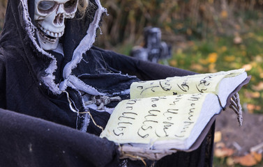 Totenkopf und Buch