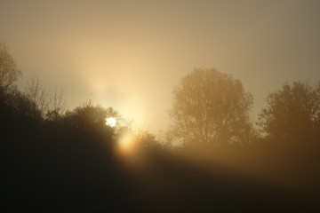 Fototapeta na wymiar Sonnenaufgang im Park