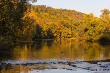 Autumn landscape with golden forest reflected in the river