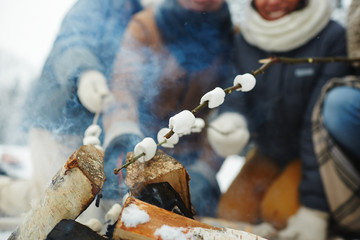 Close-up of unrecognizable people enjoying camping: they making roasted marshmallows on fire in...