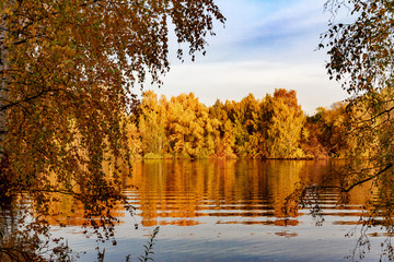 autumn landscape with lake and trees