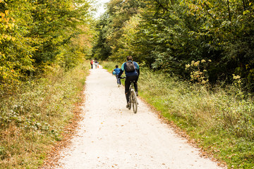 balade en for&ecirc;t