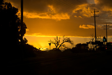 Fototapeta premium silhouette landscape at sunset orange