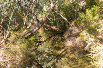 Serpentine falls landscape water reflections
