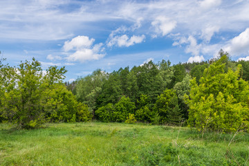 Пейзаж с голубым небом и лесом