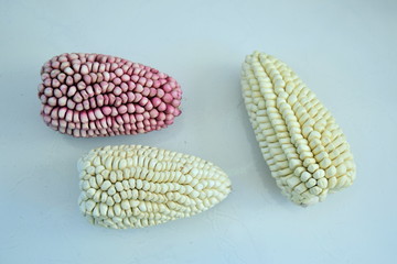 Corns on the table