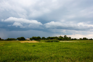 green field and blue sky