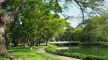 the route walks in public park , Thailand 