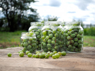 Green gooseberry berries in jars on the table
