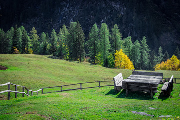 Benches and wooden table in a meadow