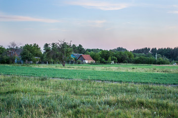 Fototapeta na wymiar green field and the house