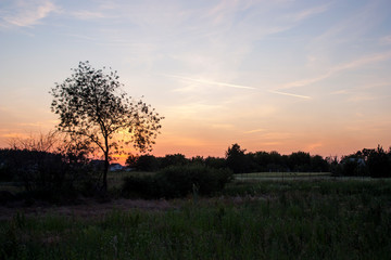 sunset over field