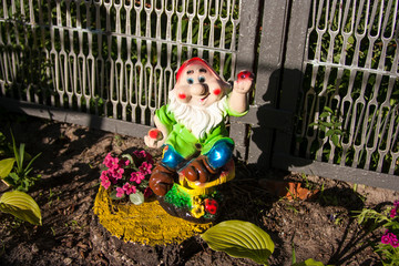 dwarf