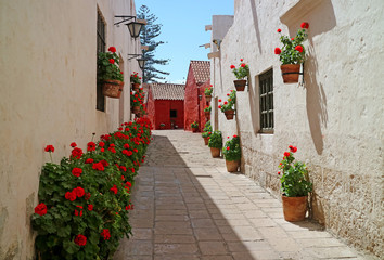 An alley full of red flowering shrubs and terracotta planters hanging on the old building's outer walls in Monastery of Santa Catalina, Arequipa, Peru 