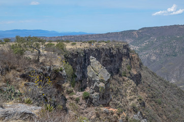 Fototapeta premium peña del aire, hidalgo mexico pasaje verde con arboles, cañadas y rocas, algunos nopales con espinas