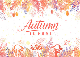 Autumn is here with mushroomss and leaves in autumn colors.Seasons greetings card perfect for prints, flyers, banners,invitations, special offer and more.Vector autumn illustration.