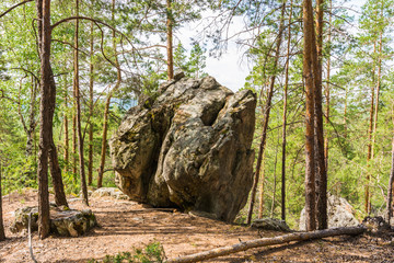 скала в лесу