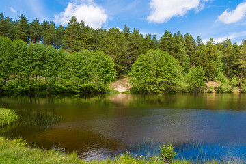 lake in deep forest