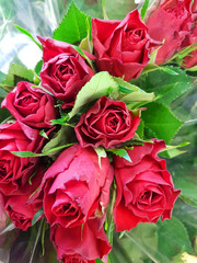 bouquet of buds roses