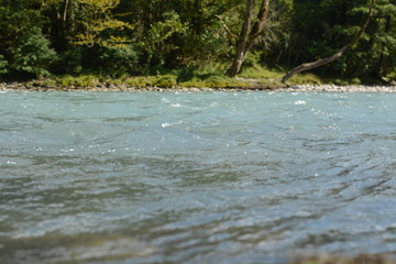 Obraz na płótnie Canvas river bank flowing down