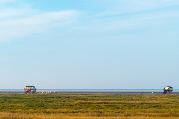 Pfahlbauten am Südstrand St. Peter-Ording