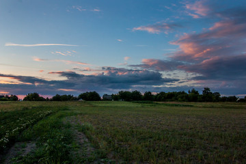 sunset over green field